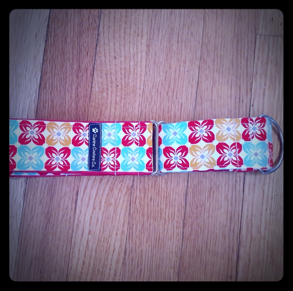 Canine Couture Dog Collar